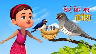 Popular Nepali Rhymes .CHIR BIR GARCHA BHAGERA || चिर्र बिर्र गर्छ भगेरा || Kids Song .