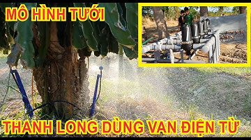 Tham quan mô hình tưới béc gốc thanh long sử dụng van điều khiển tại trạm trung tâm