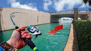 This Hidden City Fishing Spot Is Swarming With Millions of Fish!