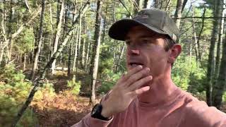 NEW LISTING / 40 +/- acres / Newaygo County, MI / Land For Sale