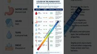 Human body liquids acids concentration
