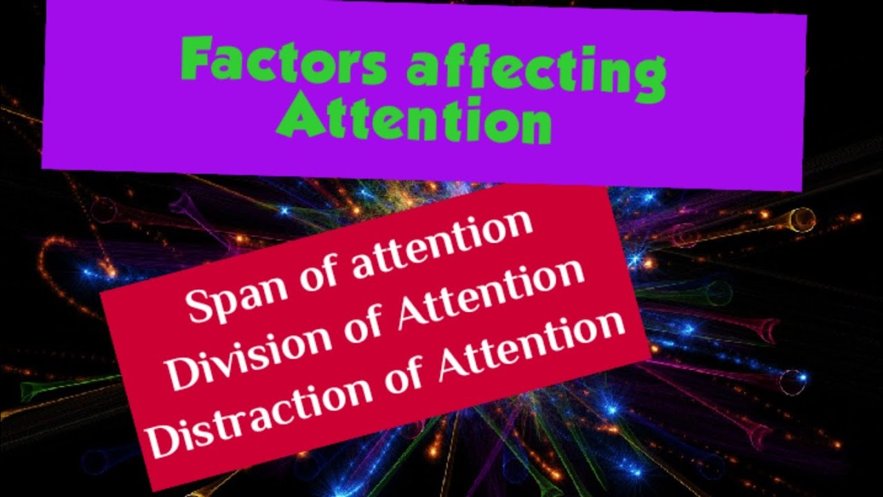 What Factors Affect the Attention Span of Children? - Spiegato
