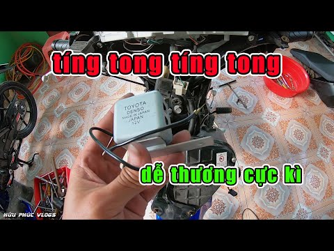 Video Tăng 50% Độ Dễ Thương Khi Gắn Cục Xi Nhan Này - youtube