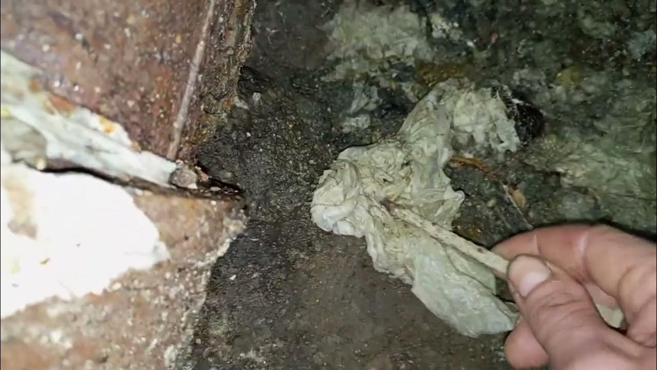 Туалетная бумага растворяется в канализации. Миф! - YouTube