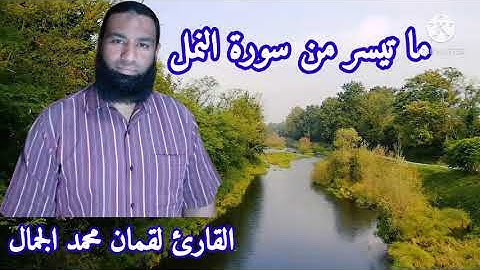 ما تيسر من سورة النمل  للقارئ لقمان محمد الجمال