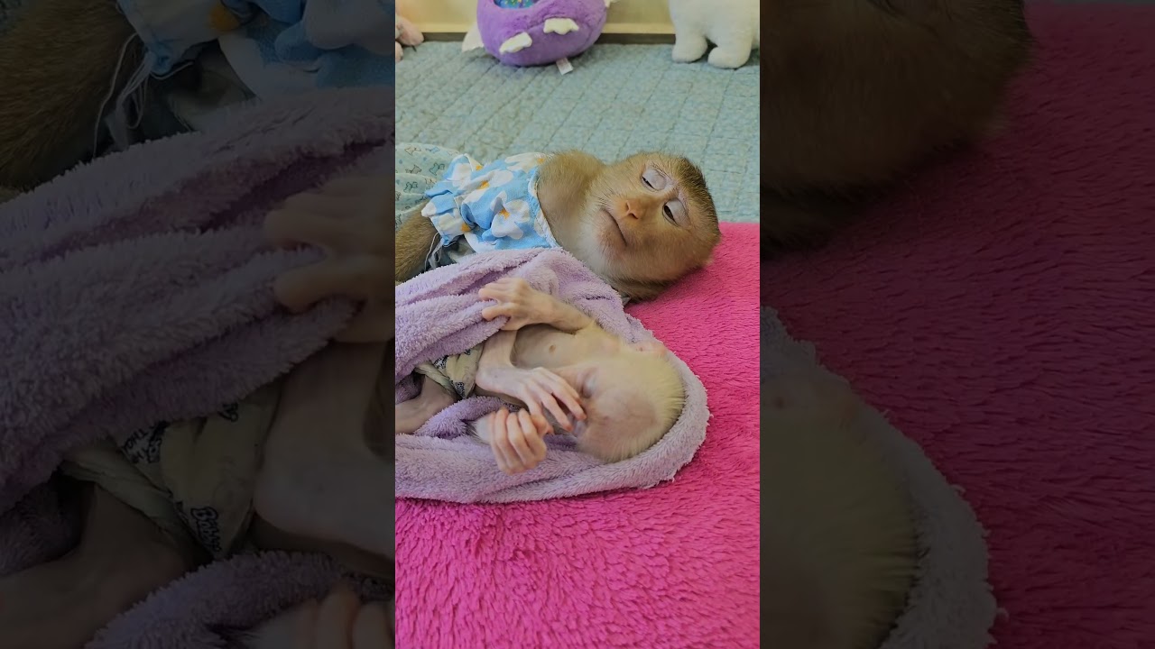 Unbreakable connection! Lory's sweetest response to adopted Jack 