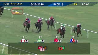 Gulfstream Park Race 5 | June 22, 2018