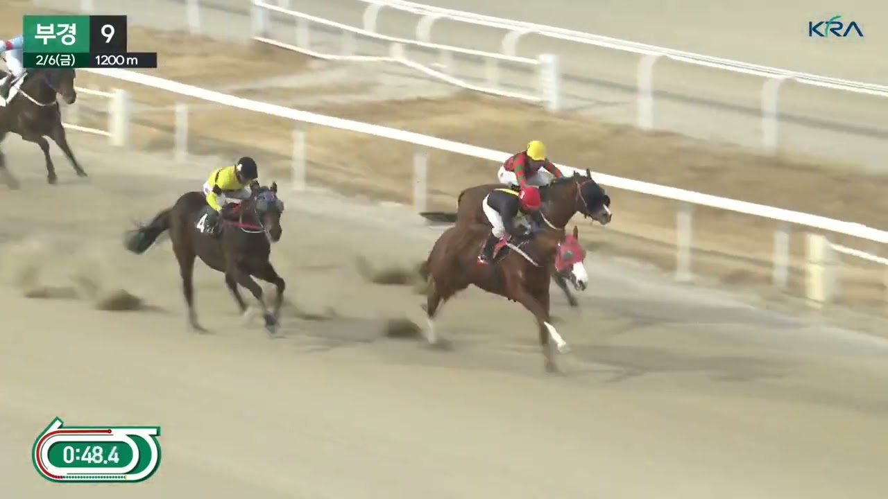 2026.2.6.부경 끝내기는 서승운 기수