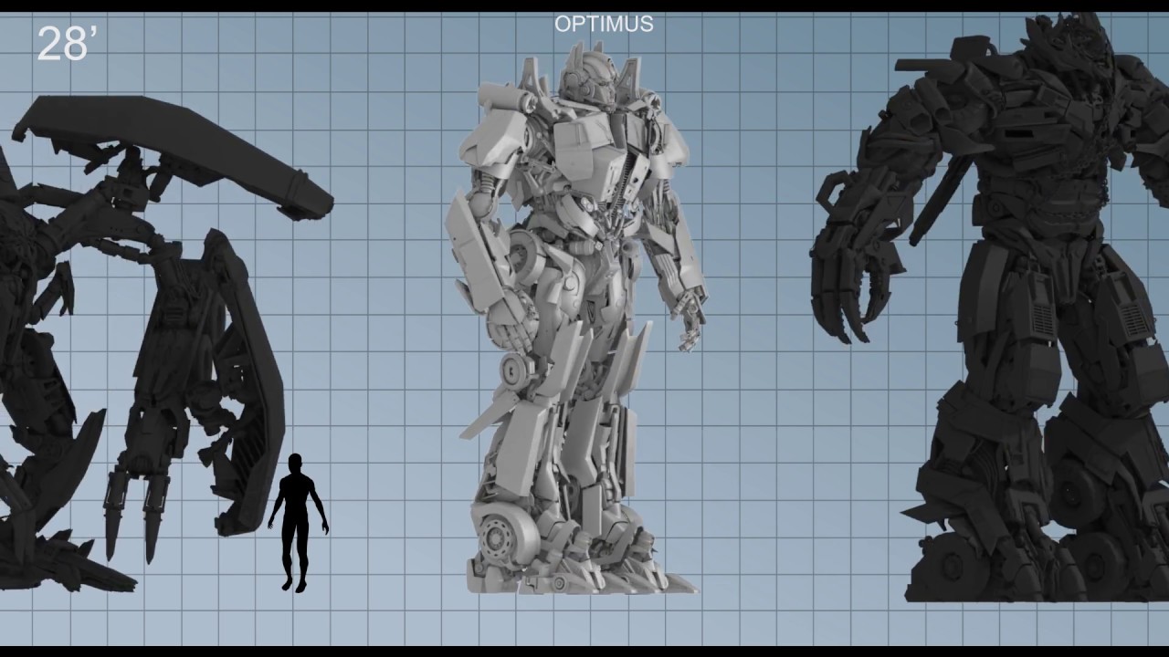 Transformers Animated Size Chart