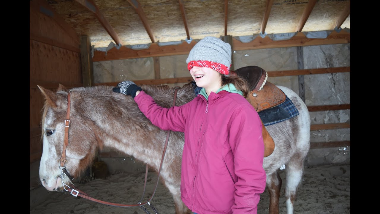 Tacking Up Western Blindfolded (again...) Myia Equestrian YouTube