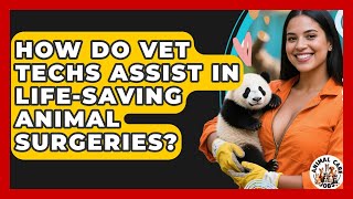How Do Vet Techs Assist In Life-saving Animal Surgeries? - Animal Care Jobs