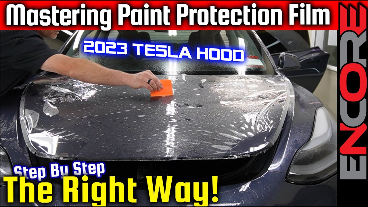 How To Properly Install PPF - Tesla Model 3 Hood - Paint