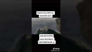 Insan Oğlu Nankör