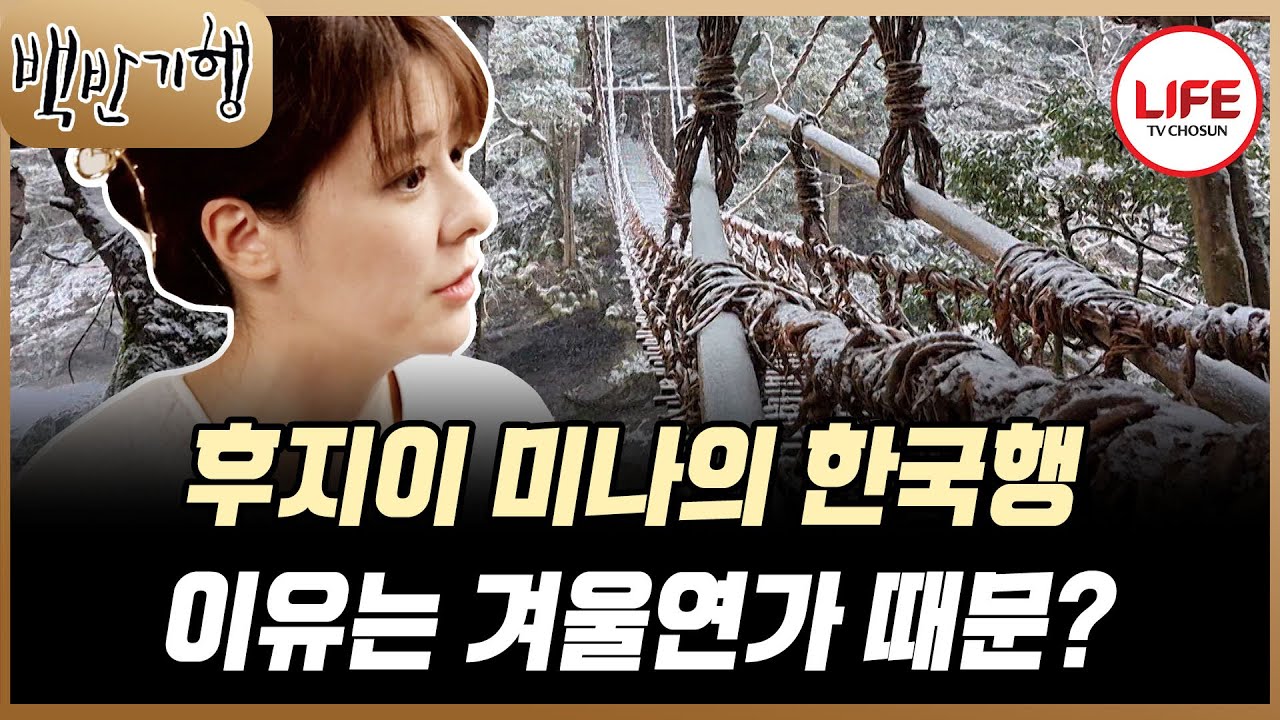 [#백반기행] 현기증 주의! 겁 없이 높은 덩굴 다리를 건너는 후지이 미나!! 식객은 다리가 후들후들!😖 (TV CHOSUN 250223 방송)