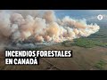 Incendio en Canadá deja miles de personas evacuadas y 4.000 hectáreas afectadas | El Espectador