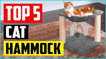 TOP 5 BEST CAT HAMMOCK BEDS IN 2021 REVIEWS