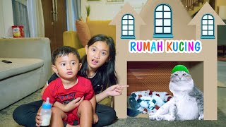 BIKIN RUMAH KARDUS BUAT KUCING TOB TOBI TOB 😱 YANG MELAHIRKAN