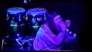 Blind Melon Seed To A Tree live (special japonesse)