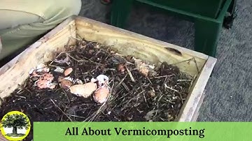 How to Start Vermicomposting