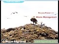 Waste Management and Environmental Health Quiz