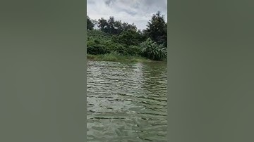 Bán rẫy view hồ nghỉ dưỡng cực phẩm gần TP gia nghĩa LH:0982158133