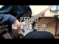 【TAB譜】PEDRO - 猫背矯正中 / ベース弾いてみた