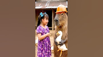 Bé muốn Capy mua cho vịt về nuôi #capybara