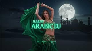Best DJ Party 2025 🔥 Arabic Habibi Remix & Dance Mix 🎵