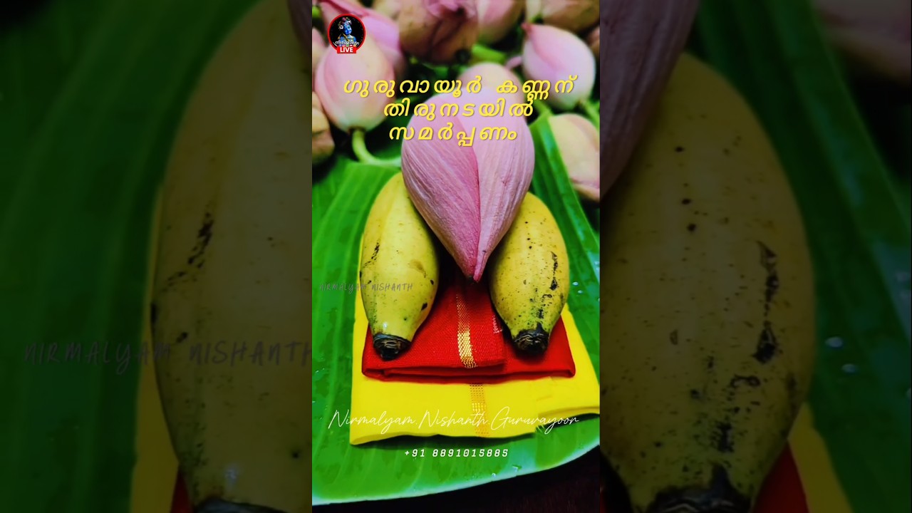 ഗുരുവായൂർ ഉണ്ണിക്കണ്ണന്  