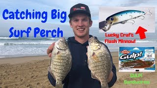 What a great trip. i only landed 4 surf perch, but edward and his dad
were able to combine for bunch of fish. we threw everything from lucky
crafts, sandwo...