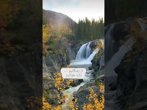 از زندگانیم گله دارد جوانیم هایده