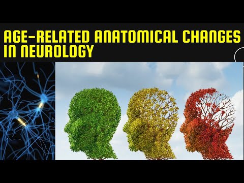 Age-related Anatomical Changes in Nervous System
