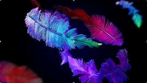 Colored Feathers. 4K Screensaver with ambient space sound.