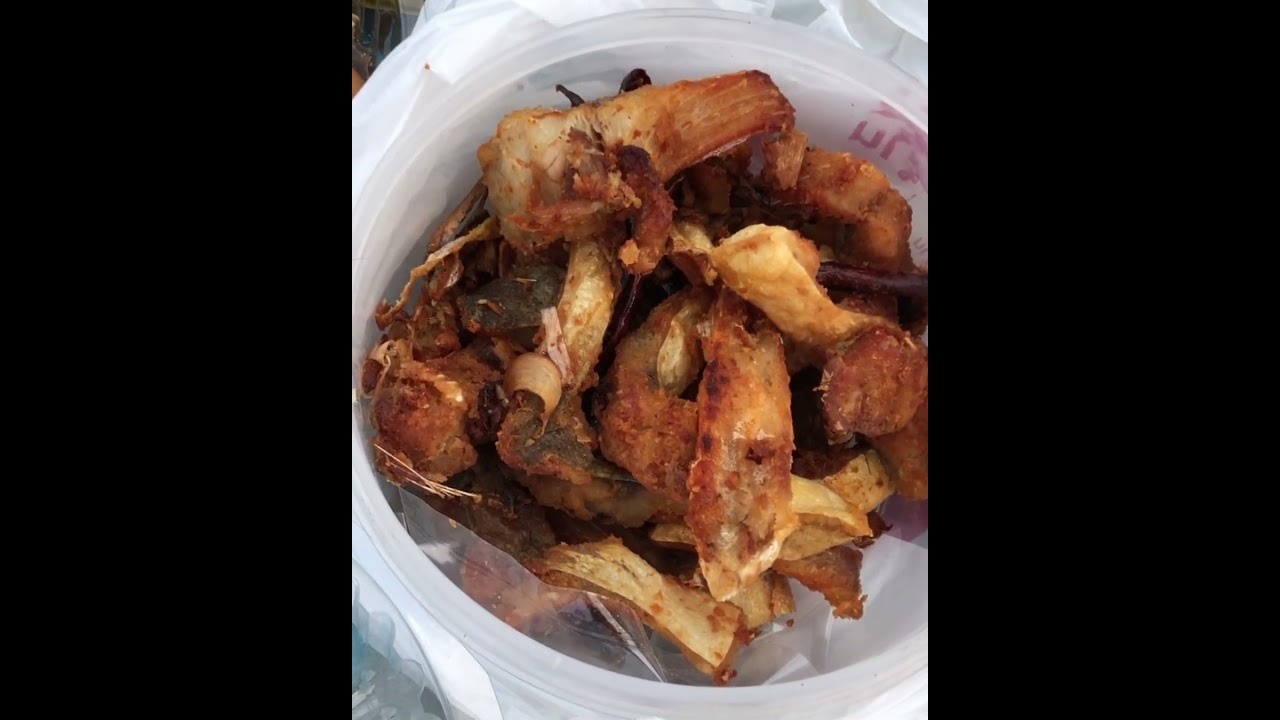 ยามเมื่อแลงค่ำลง #fishing #ตกปลา #thaifood #ยกยอ #ยกสะดุ้ง #fish  #streetfood เราตั้งวงชุมข้าวแลงกัน