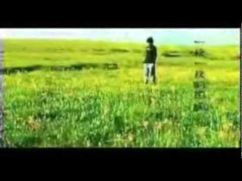 Dekyi Tsering 德吉才仁 tibetan chinese song