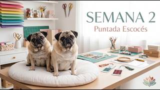 Semana 2 | Puntada Escocés (Scotch Stitch) + Cómo guardar tu muestrario 📌🪡