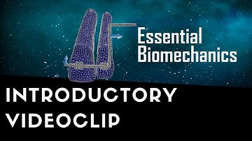 INTRODUCTORY VIDEOCLIP