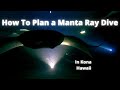 How to chose a manta ray dive company in kona hawaii dont let your bucket list dive disappoint you