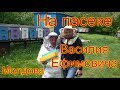 На пасеке Василия Ефимовича. Пчеловодство Молдовы