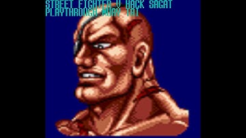 Street Fighter V Hack Sagat Playthrough