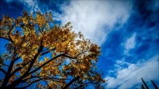 Thanksgiving Sky's - A Timelapse Video screenshot 5