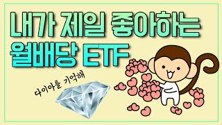 내가 제일 좋아하는 월배당 ETF (시장에 투자하면서 월배당받기, DIA)