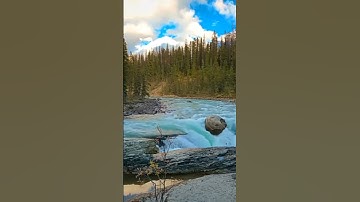 سورة الزمر للقارئ شريف مصطفى