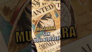 Luffy Ve Tayfasının Son Ödül Avları