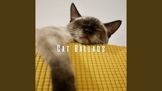 Harmonious Beats for Cat Calm
