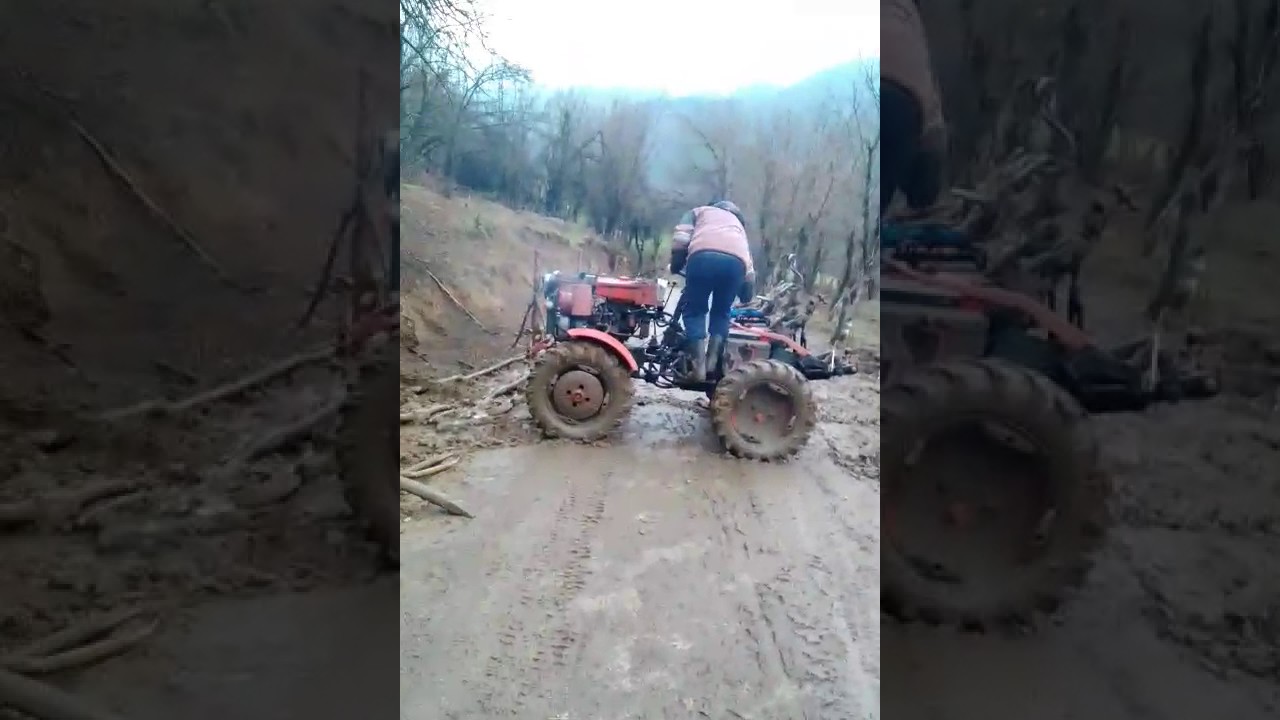 Болгар на машине