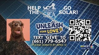 'Unleash Your Love' fundraiser for Bakersfield SPCA is happening today