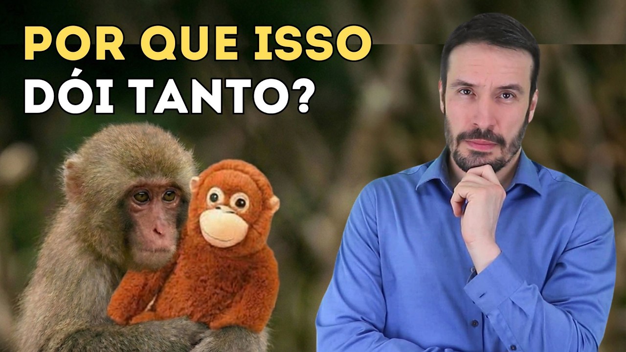 PSIQUIATRIA DE REJEIÇÃO - O QUE O MACACO JAPONÊS ENSINA | Psiquiatra Fernando Fernandes
