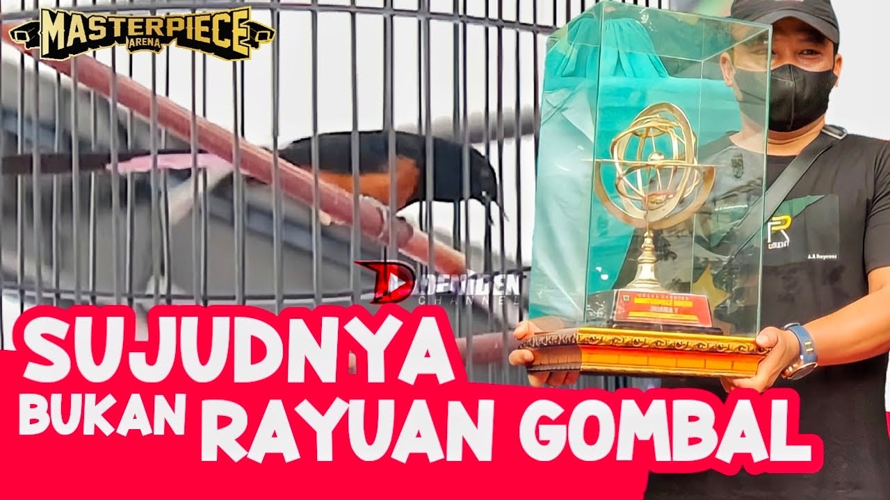 SUJUD BERISI JUARA 1 - Murai Monster Langit - Masterpiece Arena