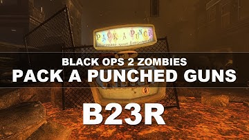 Black Ops 2 Zombies: Pack A Punched Guns | B23R/B34R